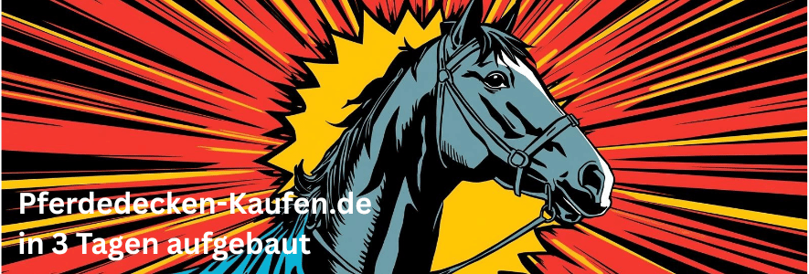 Wie ich pferdedecken-kaufen.de in 48 Stunden aufgebaut habe
